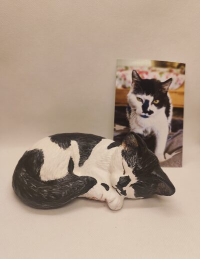 Tierurnen Katze-Portrait-105